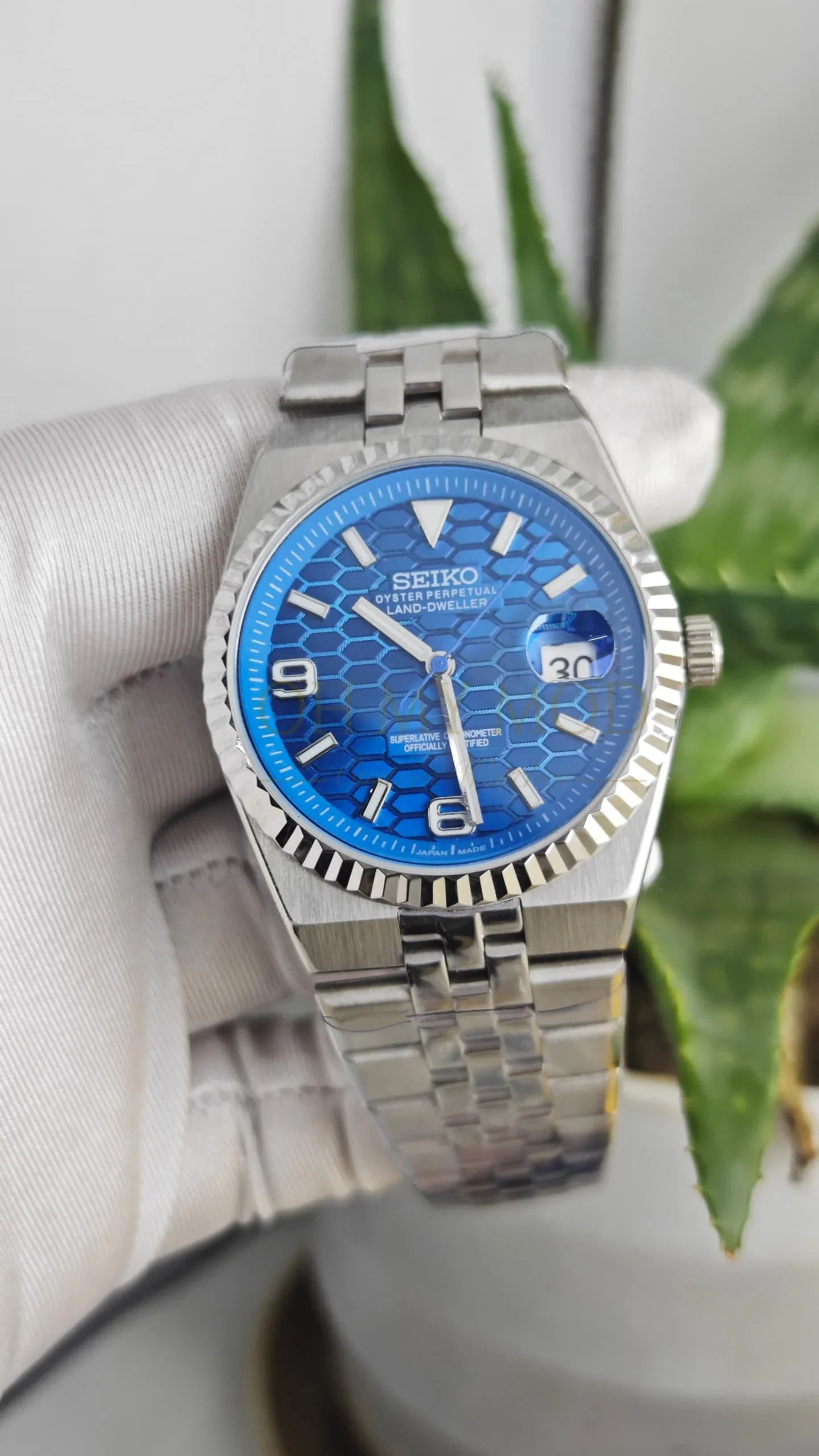 Land-Dweller Blue Dial