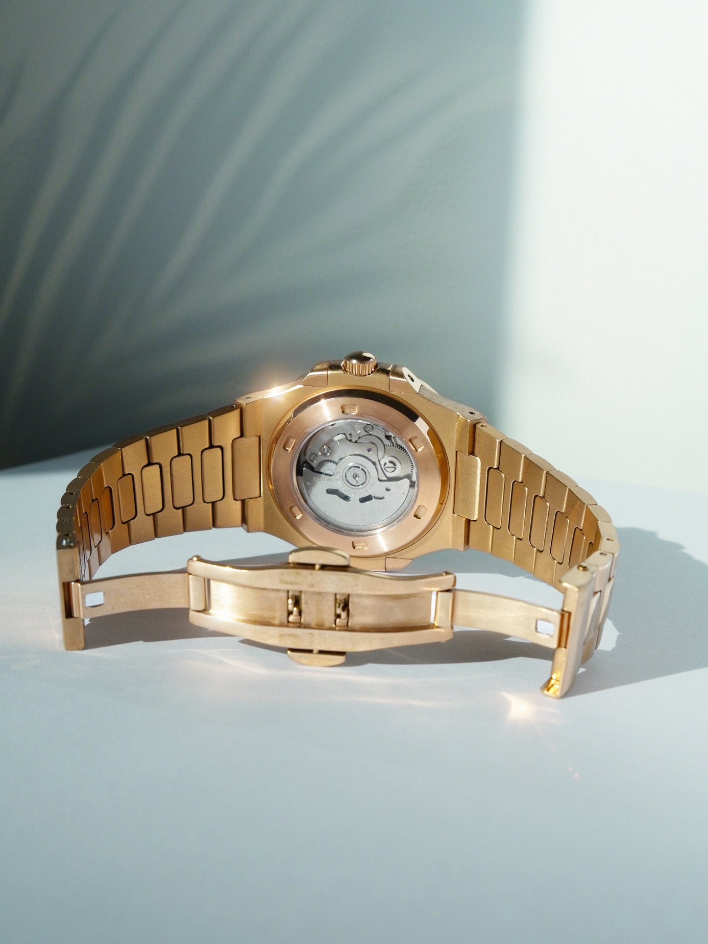 Nautilus Open Heart