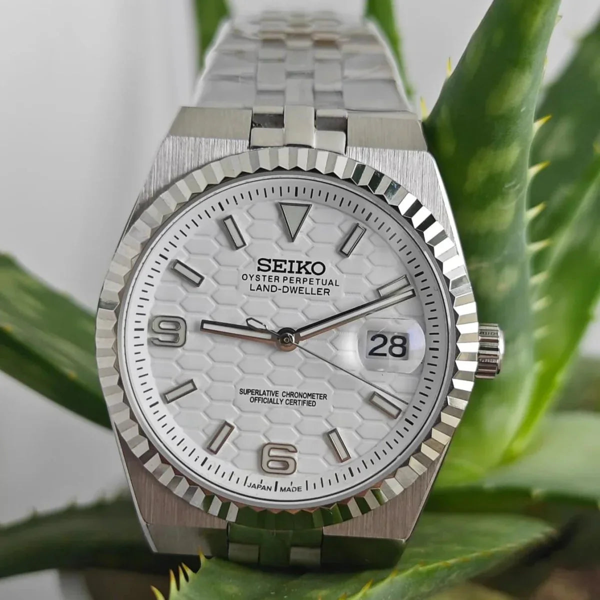 Land-Dweller White Dial