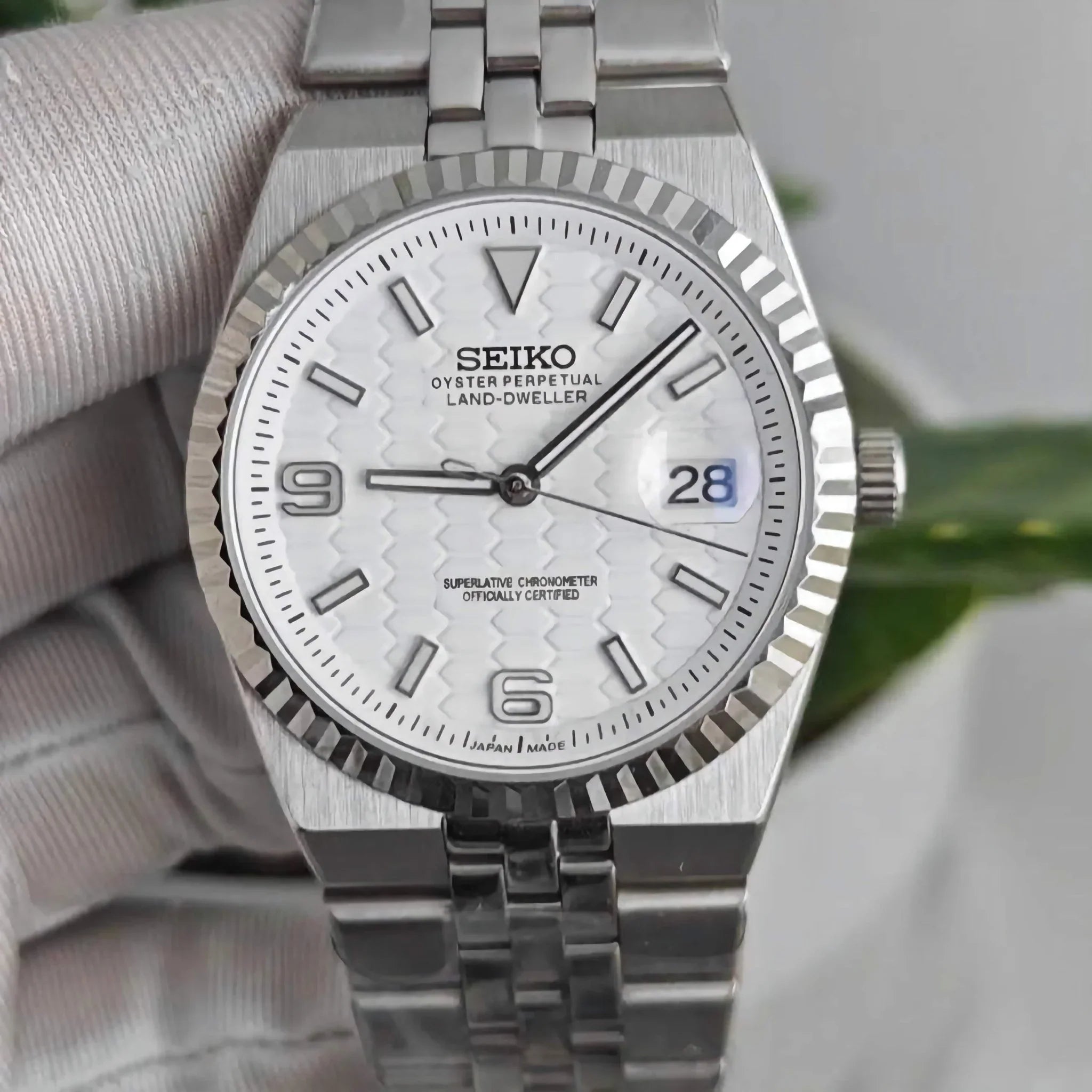 Land-Dweller White Dial